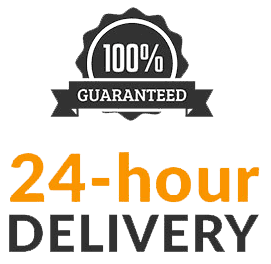 100 % Guaranteed 24-hour Delivery
